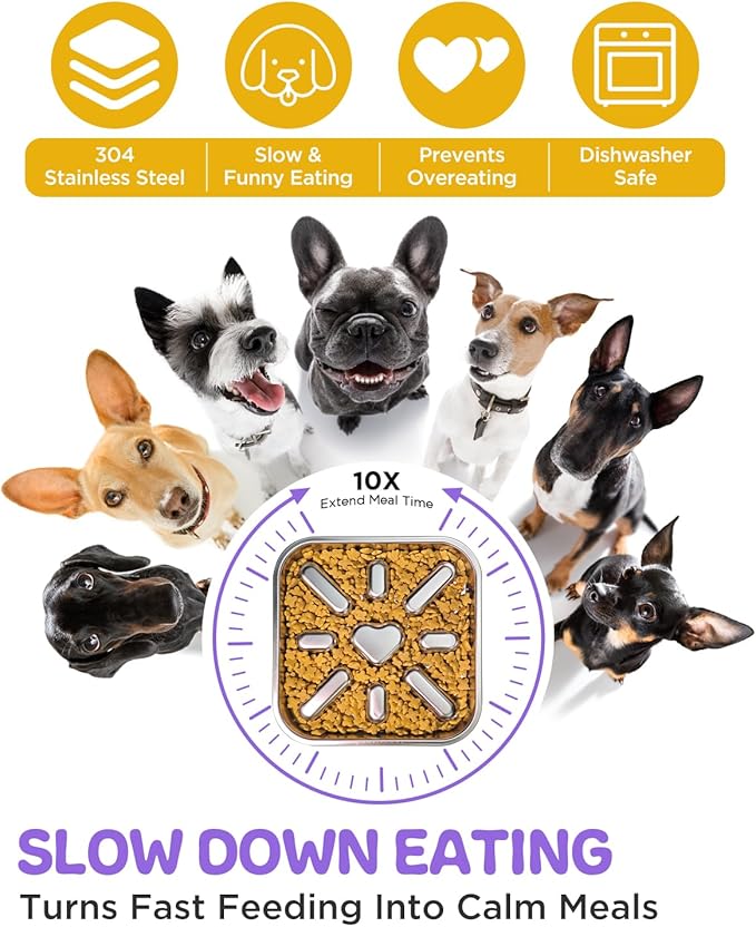Slow Feeder Dog Bowls with Non-Slip Mat, Stainless Steel Metal Slow Feeder for Small & Medium Dogs, 2.5 Cups Pet Bowl for Fast Eaters, Slows Down Eating, Dishwasher Safe, Anti-Gulping Dog Bowl