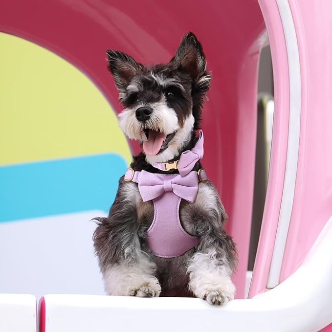 Beirui Cute Extra Small Dog Harness Set with Three Detachable Bows, Adjustable Step in Dog Harness Collar and Leash Set with Secure Metal Buckle for Daily Walking, Parties & Holiday Outfits(Purple,XS)