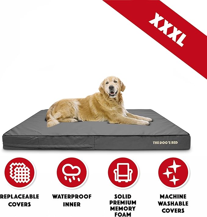 The Dog’s Bed Orthopedic Memory Foam Dog Bed, XXXL Grey & Black, Waterproof, Supportive Dog Bed with Replaceable Covers, Veterinary Approved
