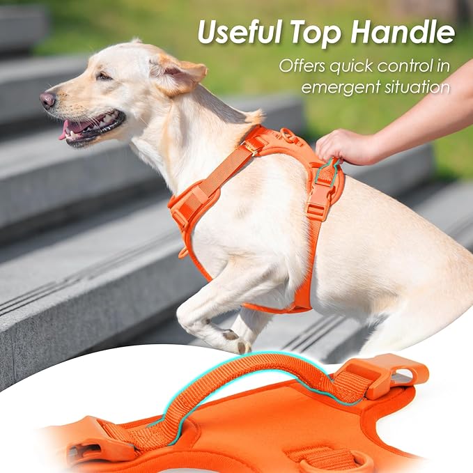 No Pull Dog Harness, Puppy Vest with Front Clip for Small Medium Large Sized Dog(Orange,M)