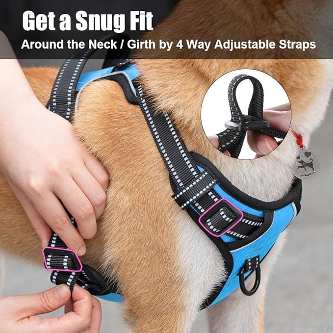PoyPet No Pull Dog Harness, Reflective Comfortable Vest Harness with Front & Back 2 Leash Attachments and Easy Control Handle Adjustable Soft Padded Pet Vest for Small to Large Dogs (Blue,S)
