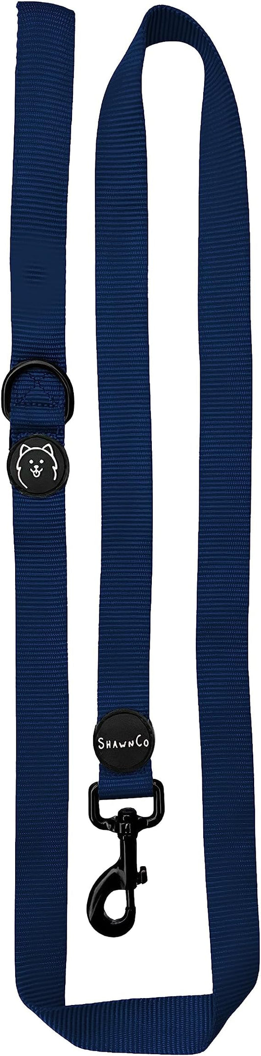 ShawnCo Dream Walk Dog Leash- Premium, Nylon Pet Leash with Soft Neoprene Handle for Small, Medium and Large Dogs (Pacific Blue, Medium/Large)