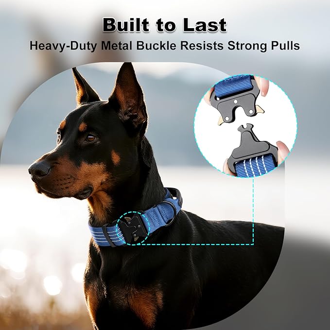 Plutus Pet Tactical Dog Collar with Tracker Packet for AirTag, Adjustable Reflective Nylon Collar, Metal Buckle, Leather-Wrapped Handle, Soft Padded for Medium Large Dogs (Blue, M)