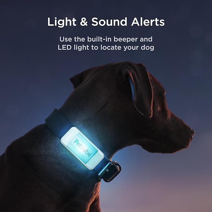 Petcube GPS Tracker for Dogs | Pet GPS Location Tracker with Escape Alerts and Virtual Fences, Activity and Wellness Monitoring, Glows in a Dark, Water and Dust Proof