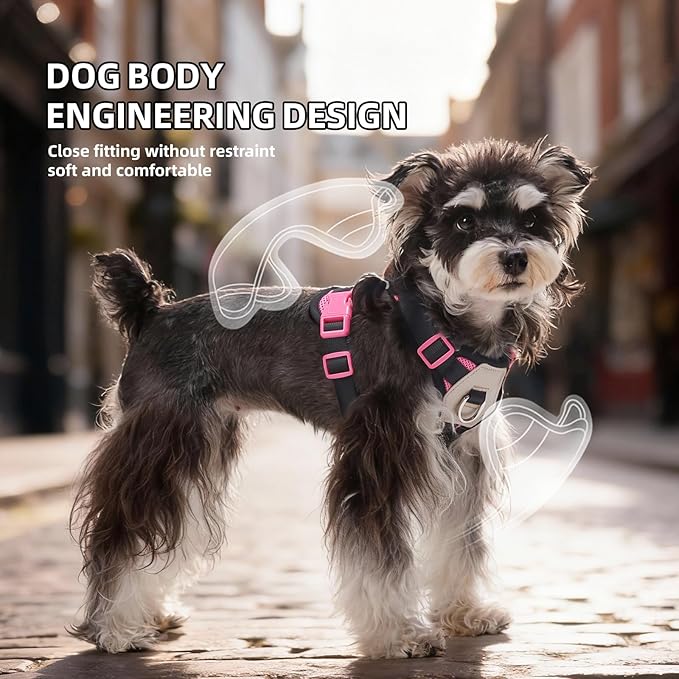 Small Dog Harness and Leash Set, Breathable Mesh Puppy Harness, Adjustable Dog Harness for Small Medium Large Dogs, No-Pull Pet Harness for Daily Walking (Hotpink, Large)