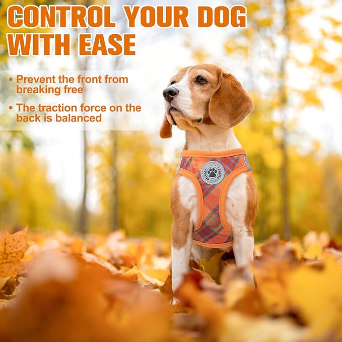 BEAUTYZOO Step in Dog Harness and Leash Set, Reflective Dog Harness No Pull No Choke Puppy Harness for Extra Small Dogs Cats, Soft Padded Mesh Vest Harnesses for Girl and Boy Pets, Orange Plaid M