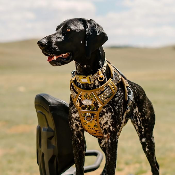 AUROTH Tactical Dog Harness for Small Medium Dogs No Pull Adjustable Pet Harness Reflective K9 Working Training Easy Control Pet Vest Military Service Dog Harnesses Woodland Camo M