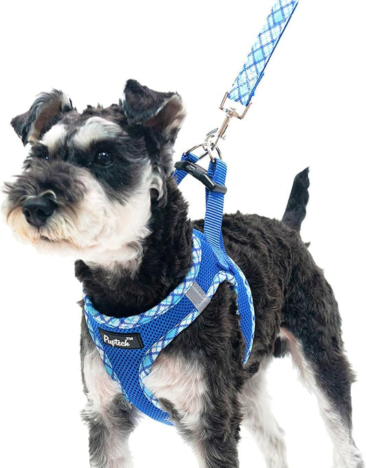 PUPTECK Dog Harness and Leash Set for Small Medium Dogs No Pull Step-in Soft Mesh Puppy Cat Vest Harnesses Reflective at Night, Blue S