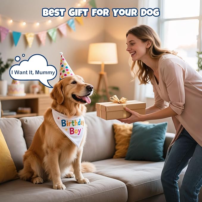 petizer 6 Pack 2.5’’ Dog Balls, Tough Dog Toys for Aggressive Chewers, Interactive Ball for Fetch Game, Lightweight Floating Toy, Durable Bouncy High Elasticity E-TPU Teething Chew Toys