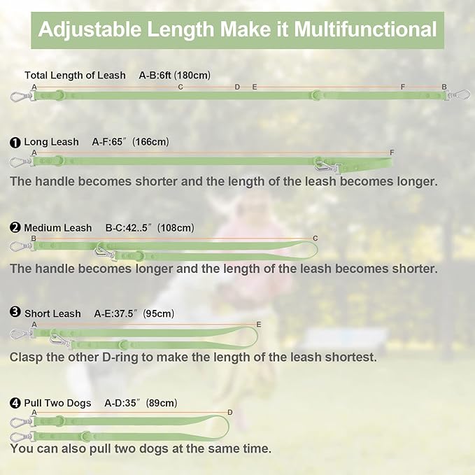 Wisedog Waterproof Dog Leash – 5ft/6ft Adjustable with 2 Metal Swivel Hooks, Easy to Clean Dog Leashes for Small, Medium, Large Breed Dogs (Sage Green,L)