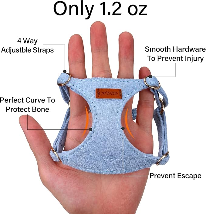 CHEDE No Pull Puppy Harness and Multifunction Dog Leash Set- 8 Colors Soft Adjustable No Choke Escape Proof Cute,Lightweight Pet Vest Harness for Small and Medium Dog (XS, Blue)