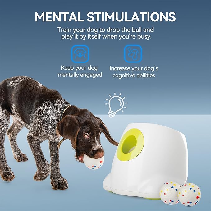 ALL FOR PAWS Automatic Dog Ball Launcher with 2.5in EPTU Balls, Ball Thrower for Medium to Large Dogs, Interactive Dog Fetch Toy for Mental & Physical Exercise