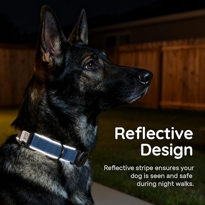 AirTag Dog Collar with QR Code ID & Waterproof Holder - Reflective, Durable Padded Oxford Collar Compatible with Apple AirTags for Medium Dogs (Blue, M)