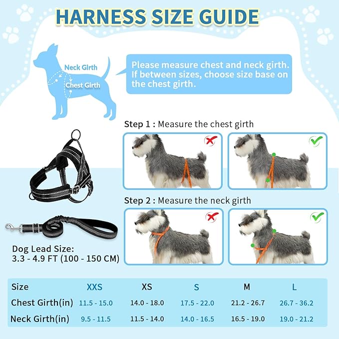 SlowTon No Pull Small Dog Harness and Leash Set, Puppy Soft Vest Harness Neck & Chest Adjustable, Reflective Lightweight Harness & Anti-Twist Pet Lead Combo for Small Medium Dogs(B,L)