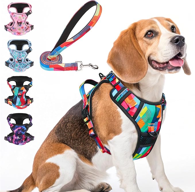 BEAUTYZOO No Pull Dog Harness Medium,Adjustable Dog Harness and Leash Set -Easy Wearing with 3 Buckles/Control Handle,No Choke Soft Padded Reflective Pet Vest for Training Walking Hiking, M