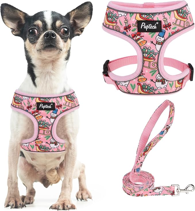 PUPTECK Soft Mesh Christmas Dog Harness and Leash Set Pet Puppy Cat Comfort Padded Vest No Pull Harnesses, Bright Pink, S