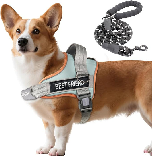 AUROTH Dog Harness and Leash Set, Soft Padded Dog Vest with 5.25FT Dog Leash, No Choke, Easy On Pet Vest, Adjustable Reflective No Pull Dog Harness Small Sized Dog, Easy Walking and Training