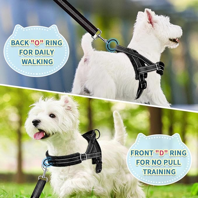 SlowTon No Pull Small Dog Harness and Leash Set, Puppy Soft Vest Harness Neck & Chest Adjustable, Reflective Lightweight Harness & Anti-Twist Pet Lead Combo for Small Medium Dogs (Black, S)