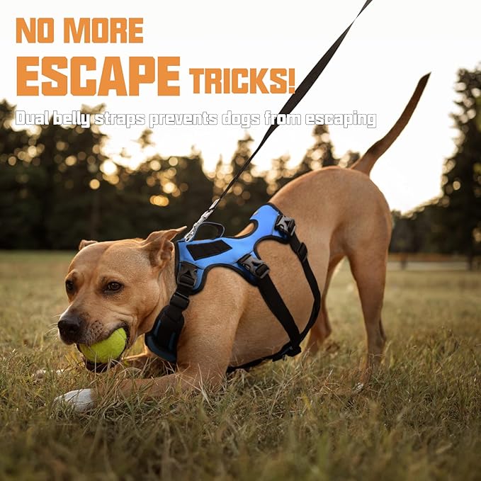 AUROTH Dog Harness - Escape Proof, No Pull, Soft Padded Reflective Adjustable Dog Vest with Lift Handle - Medium Size