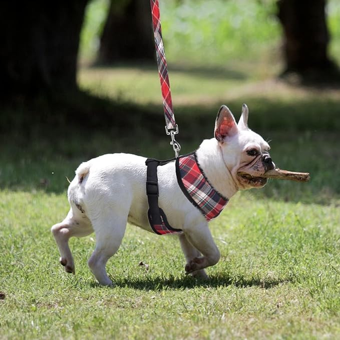PUPTECK Soft Mesh Dog Harness and Leash Set Pet Puppy Cat Comfort Padded Vest No Pull Harnesses, Red Mixed, M