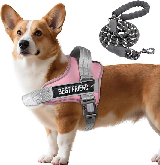 AUROTH Dog Harness and Leash Set, Soft Padded No Pull Dog Harness with 5.25FT Dog Leash, No Choke, Easy On Pet Vest, Adjustable Reflective Dog Vest Small Sized Dog, Easy Walking and Training