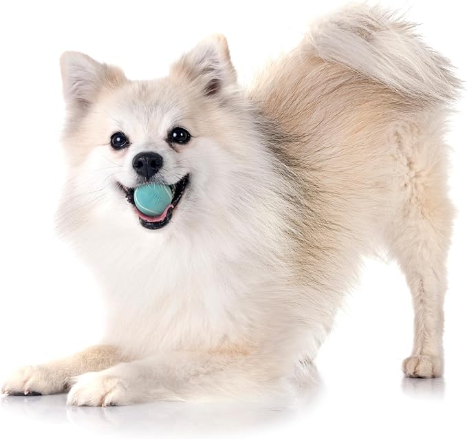 Playology Dog Toys | Squeaky Chew Ball - Bouncy Durable Floating Fetch Ball for Dogs, Value 3-Pack | Small Peanut Butter Scented Toy - Easy to Clean and Made from Non Toxic Materials