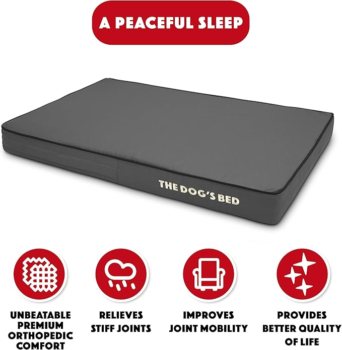 The Dog’s Bed Orthopedic Memory Foam Dog Bed, Medium Grey & Black, Waterproof, Supportive Dog Bed with Replaceable Covers, Veterinary Approved