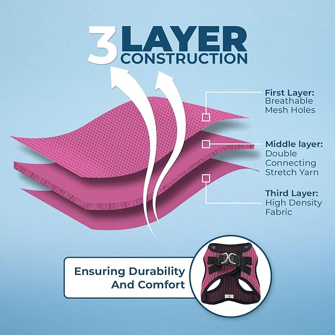 Voyager Step-in Air All Weather Mesh Harness and Reflective Dog 5 ft Leash Combo with Neoprene Handle, for Small, Medium and Large Breed Puppies by Best Pet Supplies - Fuchsia (2-Tone), S