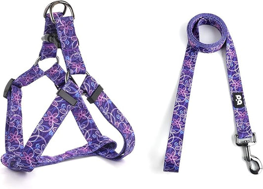 QQPETS Dog Harness Leash Set Adjustable Heavy Duty No Pull Halter Harnesses for Small Medium Large Breed Dogs Back Clip Anti-Twist Perfect for Walking