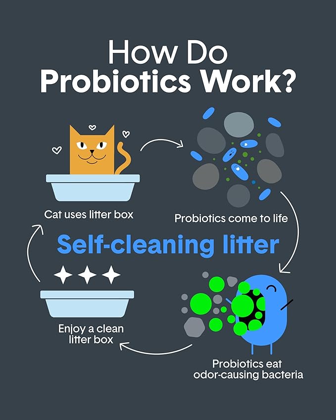 Boxie Probiotic Cat Litter, 40 Day Odor Control, Clumping Clay Kitty Litter, Odor Eliminating Probiotics, Dust-Free, No Fragrances No Fillers, 40 lb