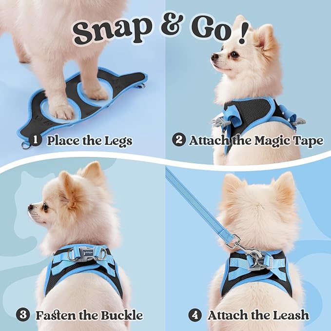 rabbitgoo Dog Harness Small Sized and Leash Set, Step-in Breathable Pet Harness, Soft Walking Reflective Puppy Vest for Small Dogs, Black & Light Blue, S