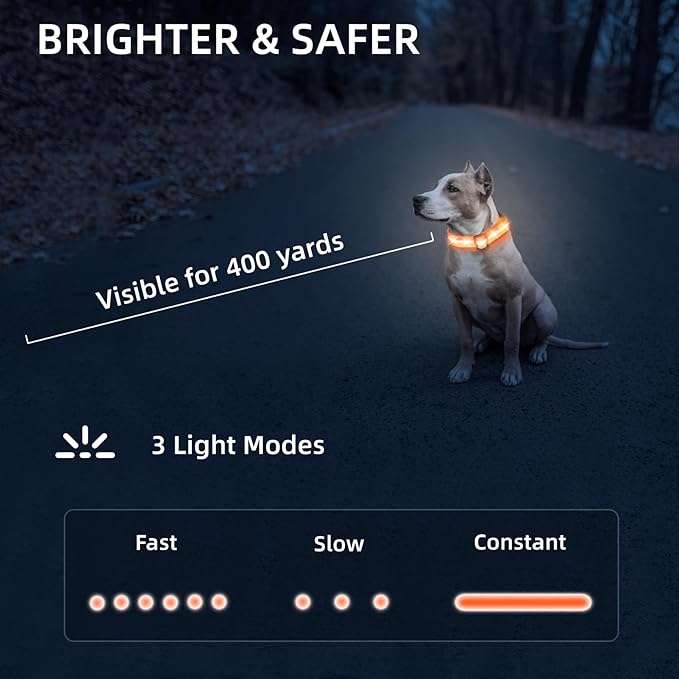 Super Bright LED Dog Collar - Fully Waterproof & Adjustable Glow Collar - USB-C Rechargeable for Night Walking, Safety - Flashing Lighted Collar for Dogs(Orange,L)
