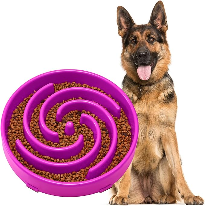JASGOOD Slow Feeder Dogs Bowl for Large Medium Dogs,Anti-Gulping Pet Slower Food Feeding Bowls Stop Bloat,Preventing Choking