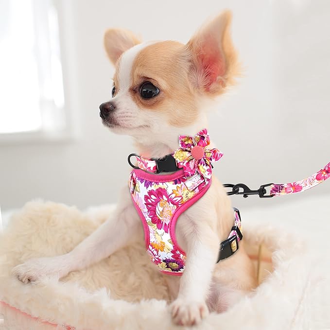 Beirui Cute Girl Dog Collars, Harnesses & Leashes Set - Adjustable Dog Collar and Leash Set with Flower - Soft Mesh Dog Vest Harness for Puppies Small & Extra Small Dogs Cats (Pink-2,XXS)