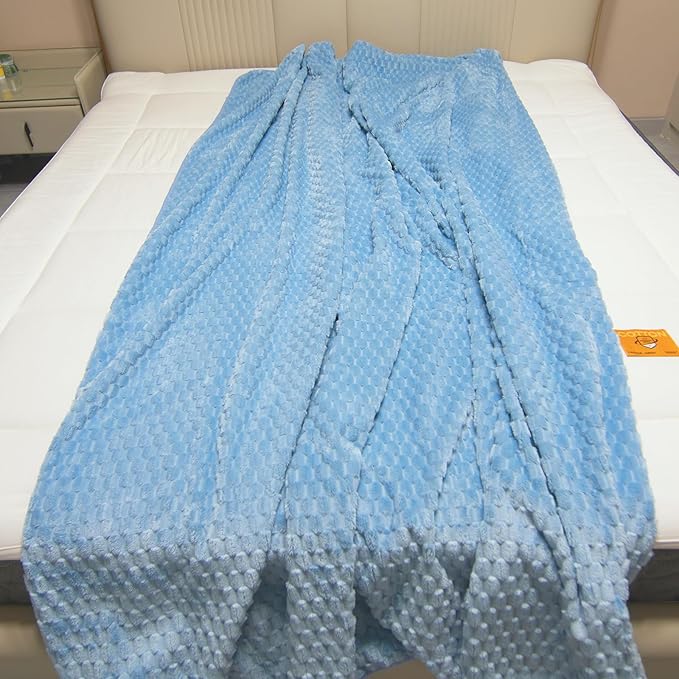 Water Resistant Blanket for Bed Couch Sofa, 60"x80" Reversible & Washable Microfiber Blanket, Queen Size Waterproof Throw, Pet Friendly & Leakproof (Sky Blue/Pale Blue)