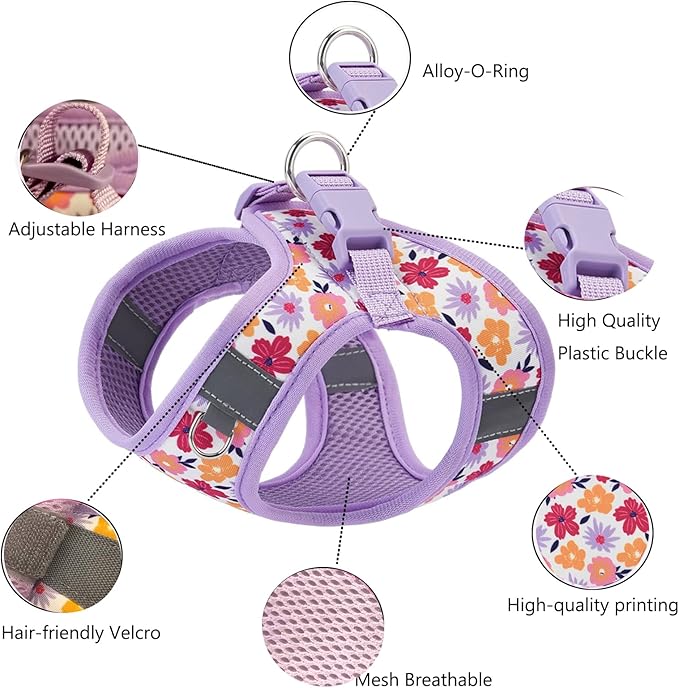 XXS Dog Harness and Leash Set, Step in Dog Harness No Pull for Walking Running Training, Puppy Essentials for Dogs Cat Bunny, Adjustable Reflective Dog Vest Harness. (Purple, XXS)