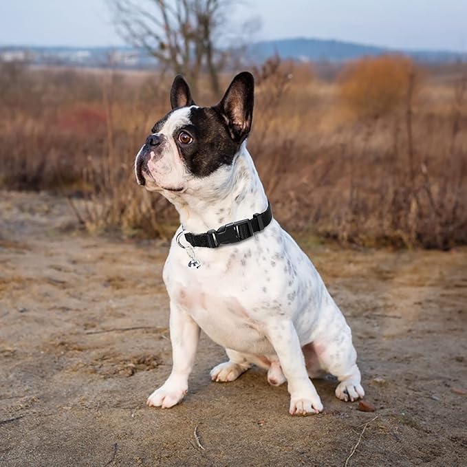 PUPTECK Adjustable Dog Harness Collar and Leash Set Step in No Pull Pet Harness for Small Medium Dogs Puppy and Cats Outdoor Walking Running, Soft Mesh Padded Reflective Vest Harnesses, Solid Black S