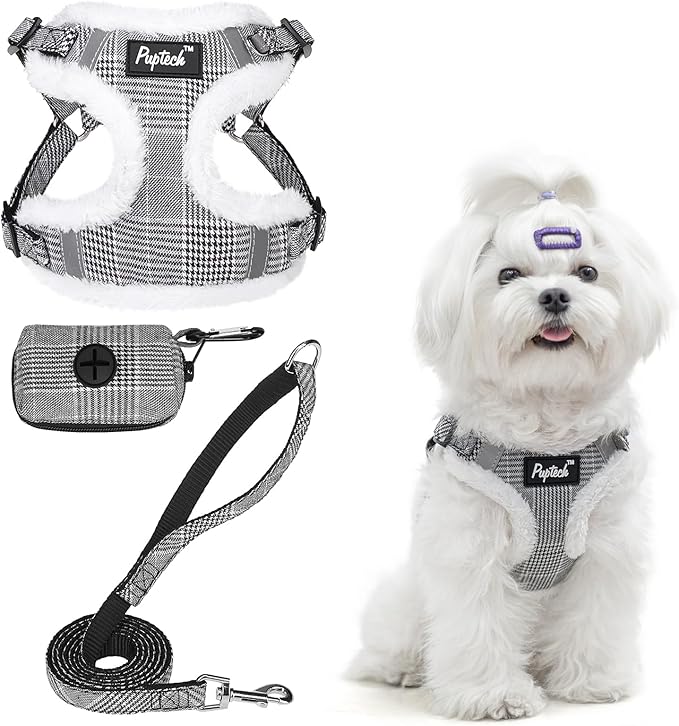 PUPTECK Dog Harness and Leash Set Small Sized, Step in No Pull Adjustable Puppy Cat Harness Reflective Pet Vest