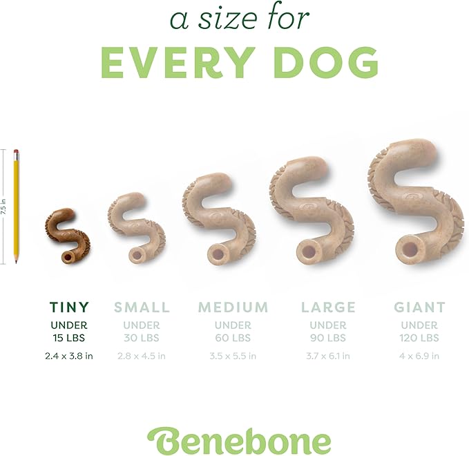 Benebone Tiny 2-Pack, Tripe Bone Durable Dog Chew Toy for Aggressive Chewers, Real Tripe, Made in USA