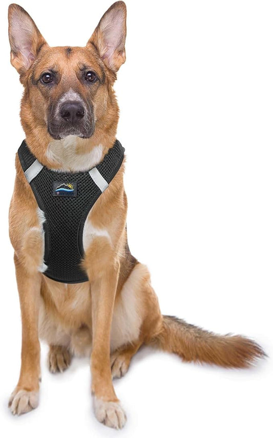 Doggie Design Dog Harness - No Choke Dog Harness, Dog Vest, Mesh Polyester, Pet Harness, Simple Step in and Go Design, Harness for Dog - Black, 3XL