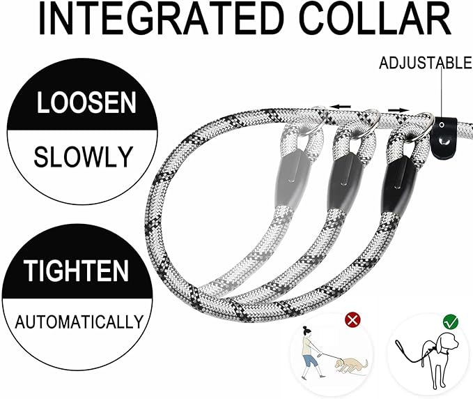 Dog Leash 6 FT, Durable Premium Quality Strong Training Rope Slip Leash with Comfortable Padded Handle and Highly Reflective Threads for Small Medium and Large Dogs, (Light Gray)