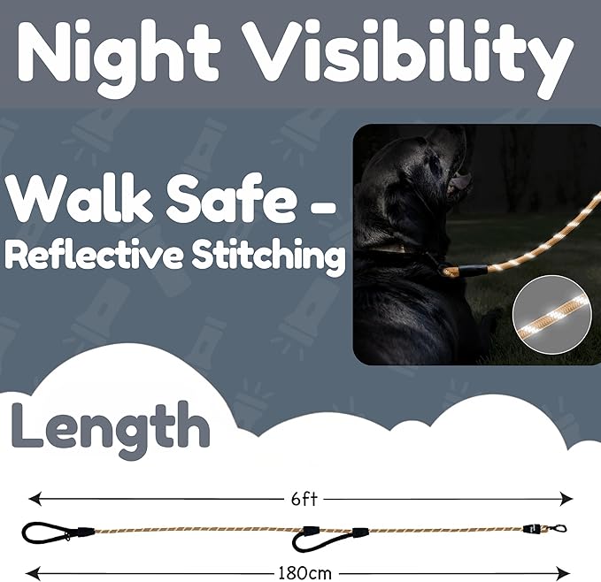 6 Foot Dog Leash, Two Extra Padded Handles, Locking Carabiner Clip, Reflective for Night Visibility, Weatherproof, Heavy Duty Rope Leash, Roam Gear (Brown)