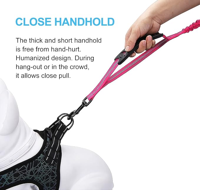 6FT Highly Reflective Heavy Duty Elastic Bungee Medium and Large Dog Leash Shock Absorbing with Comfortable Padded Handle and Traffic Handle Suitable for Training Hot Pink