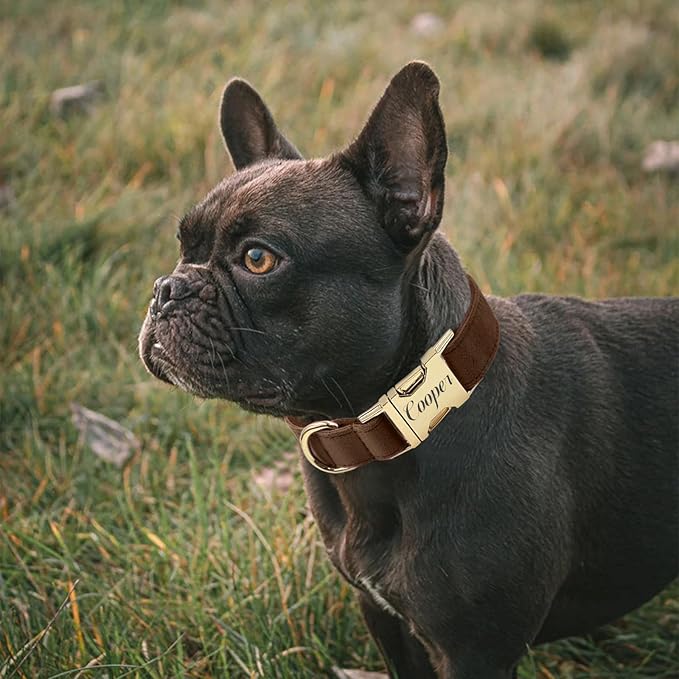 Personalized Velvet Dog Collar with Name & Phone, Multi-Color Options, Metal Quick-Release Buckle, Soft & Stylish (Style-B)