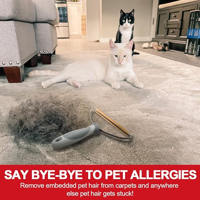 Pet Hair Remover, Dog Cat Hair Remover, Lint Cleaner Pro, Fur Removal Tool, Portable Carpet Scraper, Clothes Fuzz Rollers Hairball Shaver Brush for Carpets, Car Mat, Couch, Pet Bed, Furniture & Rug
