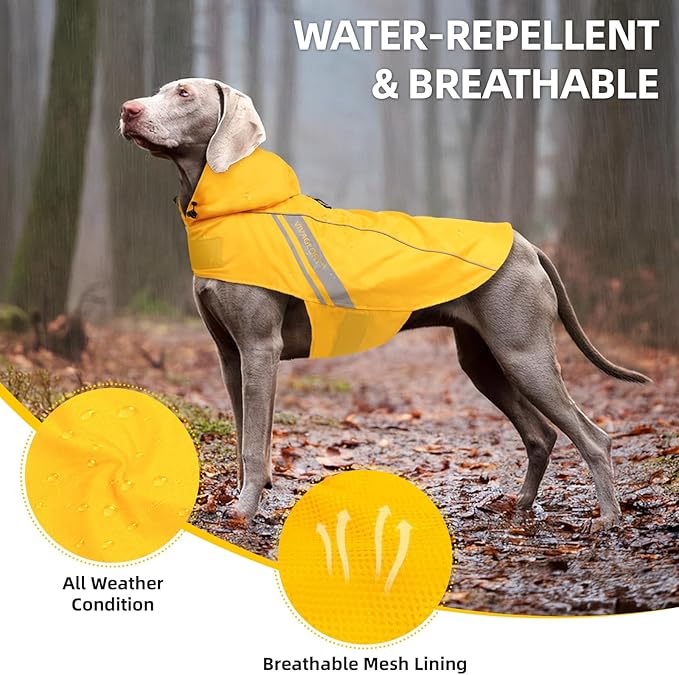 VIVAGLORY Wetoff Dog Raincoat, Rain Coat for Dog All Seasons Adventure, Rain Jacket with Harness Hole & Hood, Reflective Lightweight Waterproof for Doggy & Puppy, S, Yellow