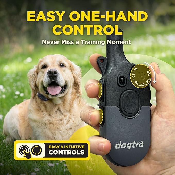 Dogtra 200iQ 2-Dog Remote Training E Collar – 100 Levels, Tone, Vibration, 1/2 Mile Range – Compact, Waterproof, One-Handed Control for Dogs 10 lbs+ – Lightweight System for Daily Obedience Training