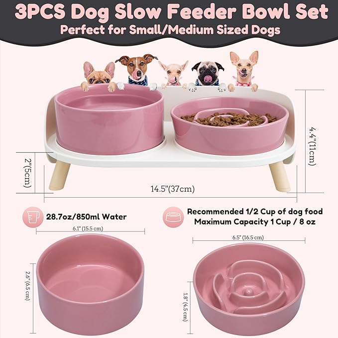 Elevated Slow Feeder Dog Bowls - Ceramic Food and Water Bowl Set with Stand - Raised Pet Dishes for Small and Medium Sized Dogs