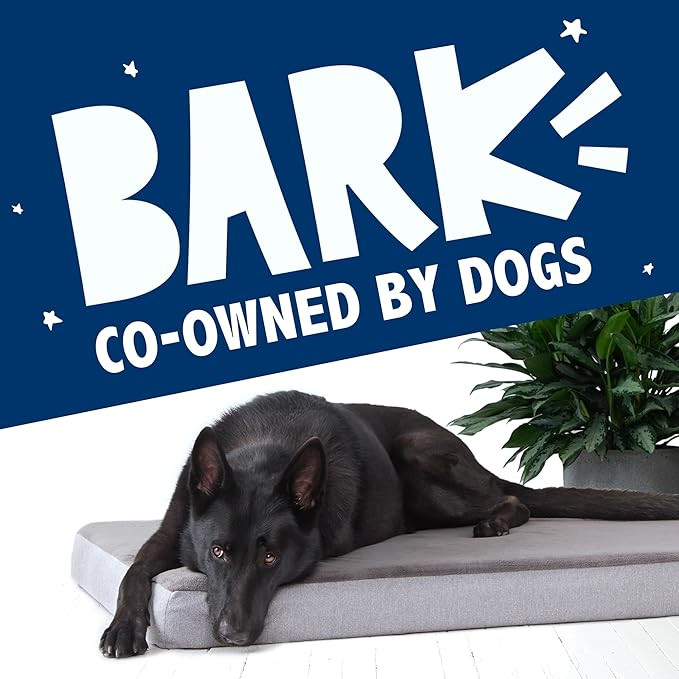 Barkbox Orthopedic Dog Bed with Memory Foam, Premium Comfort for Dogs and Puppies, Large Sized Dog Bed for Joint Relief and Restful Sleep, Durable and Easy to Clean - Grey, Large