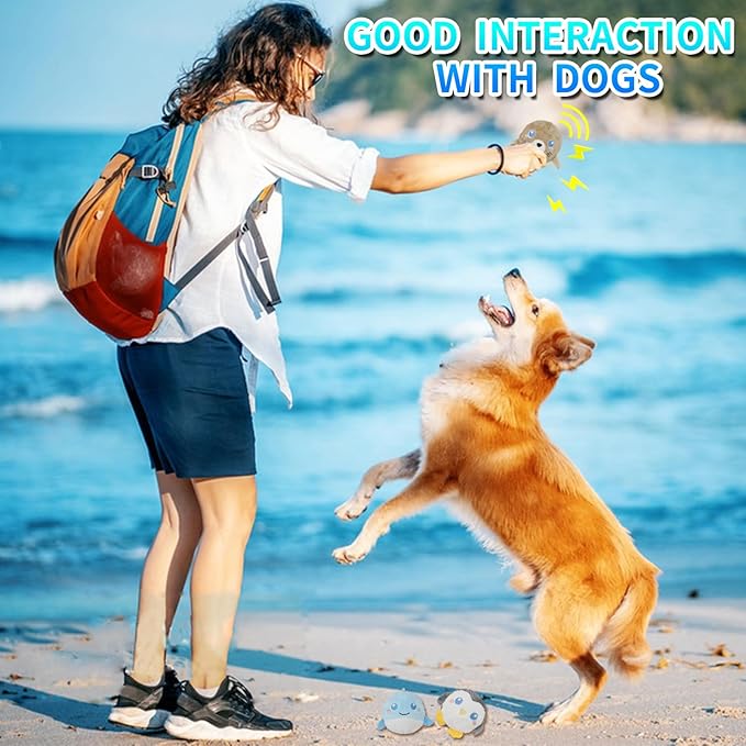 D KING D KING 3Pack Squeaky Dog Balls,2 in1 Funny Puppy Ball Toys,Birthday Dog Toy for Small Medium Dogs (Ocean Ball)